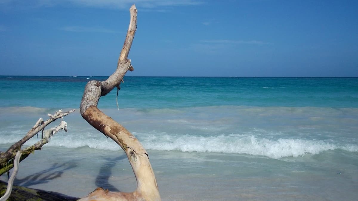 Cayos de Morrocoy en lancha 2